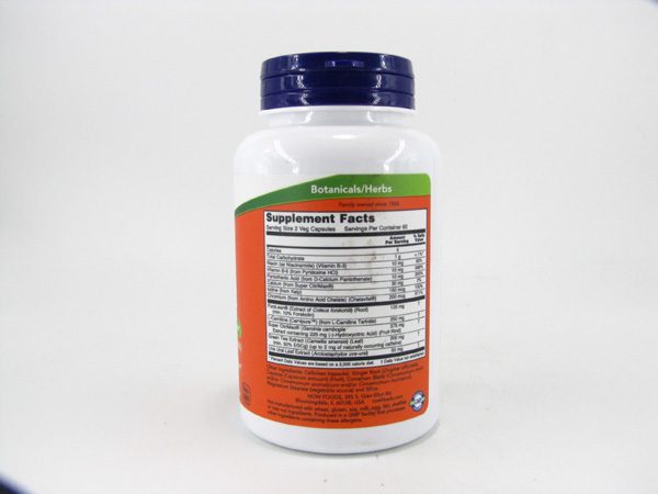 Now - Diet Support 120 veg Capsules - front view